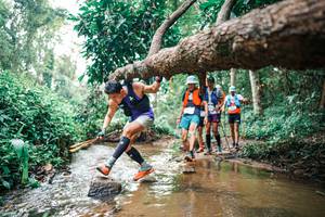 BIB: 
                            <button type="button" onclick="openModal(25368705)" class="btn btn-primary btn-sm float-right btn-popup" data-toggle="modal" data-target=".modal-high-quality">
                        <i class="fas fa-shopping-cart"></i> Add to Cart
                    </button>
                                            <button type="button" onclick="isThisMe(25368705, true)" class="btn btn-success btn-sm float-right btn-popup btn-isme hidden" data-toggle="tooltip" data-placement="bottom" title="นี่คือรูปของคุณใช่ไหม คลิกที่นี่เพื่อเอาเข้าอัลบั้ม">
                        <i class="fas fa-plus"></i> Add to album
                    </button>
                    <button type="button" onclick="isThisMe(25368705, false)" class="btn btn-warning btn-sm float-right btn-popup btn-isnotme hidden">
                        <i class="fas fa-ban"></i> Remove from album
                    </button>